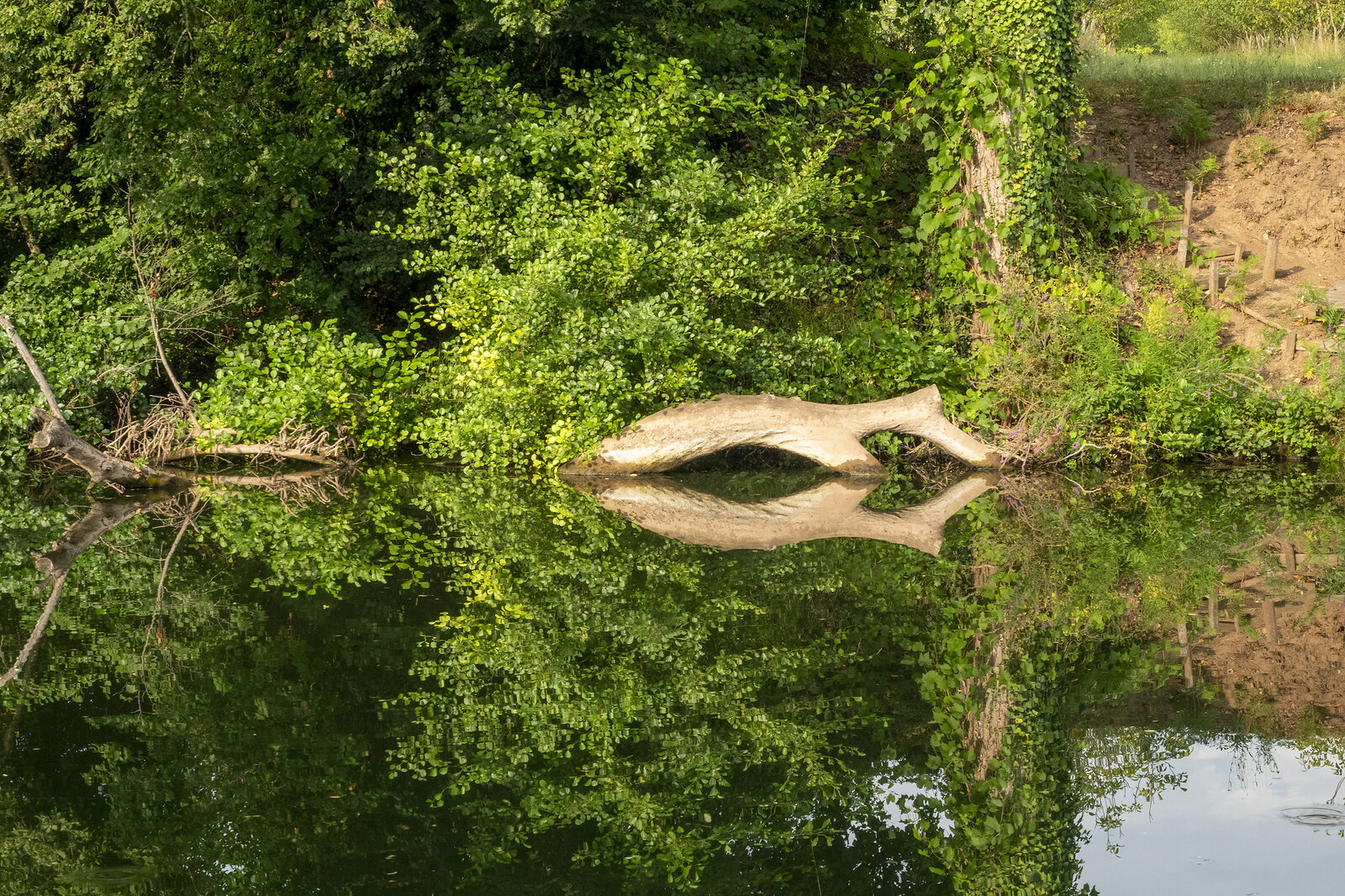 Flussufer am Lot Frankreich