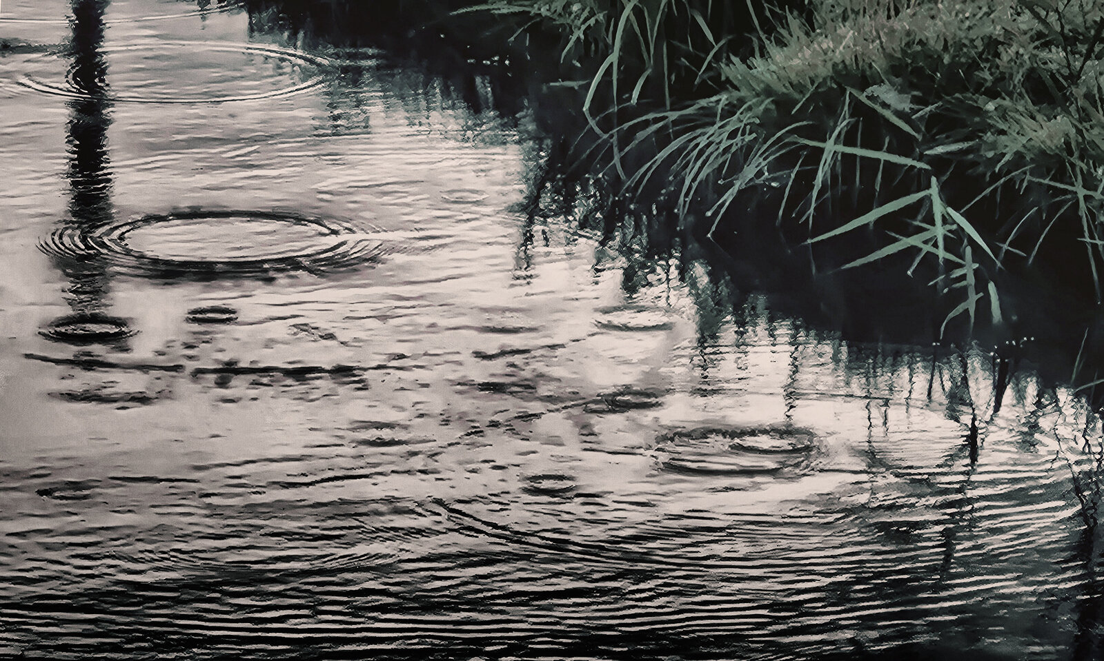 Auf dem Wasser