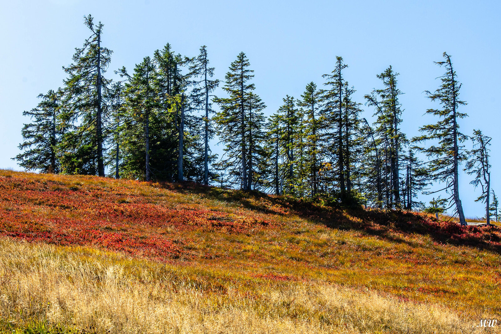 Herbst